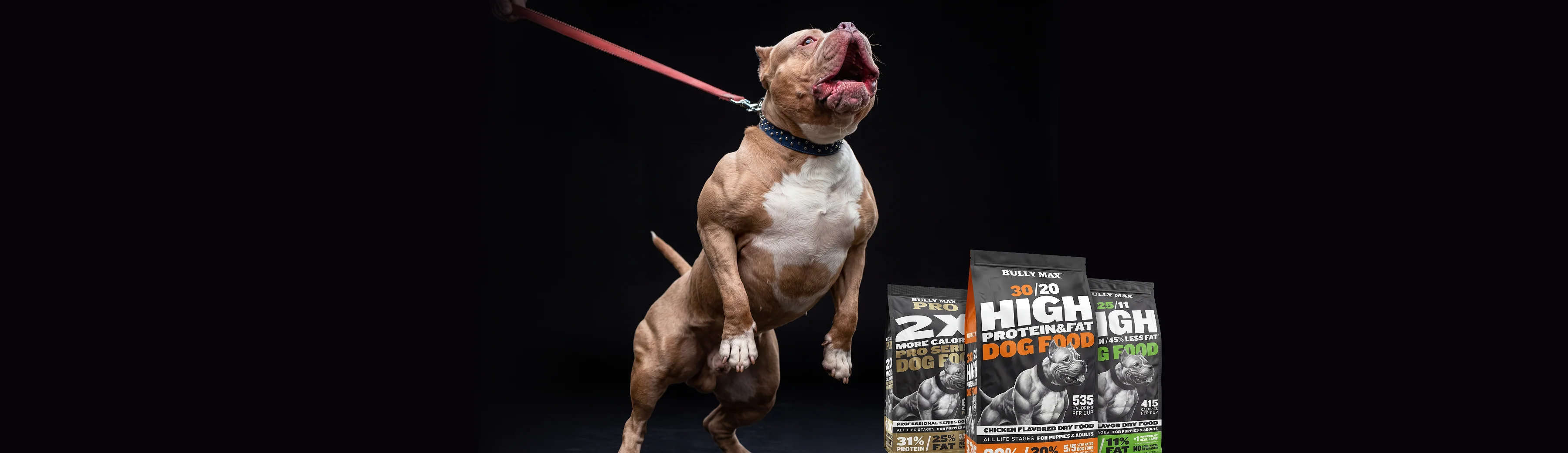 Unleash Your Dog's Peak Performance