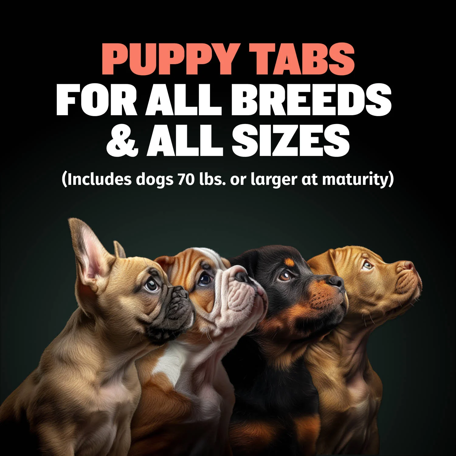 Bully Max Puppy Tabs for Development & Growth - Image 7