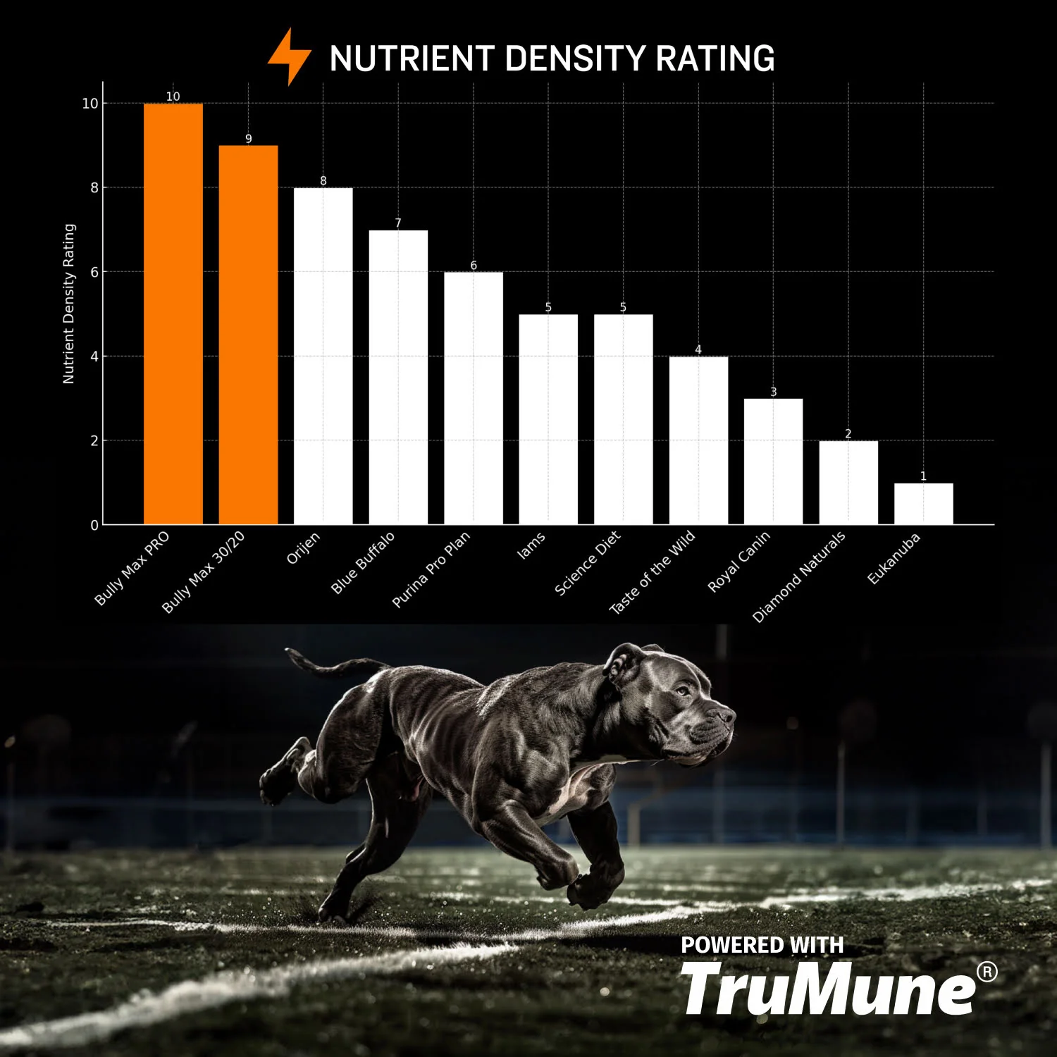 Bully Max Dog Food (40 lbs.) & Muscle Building Tablets Bundle - Image 3