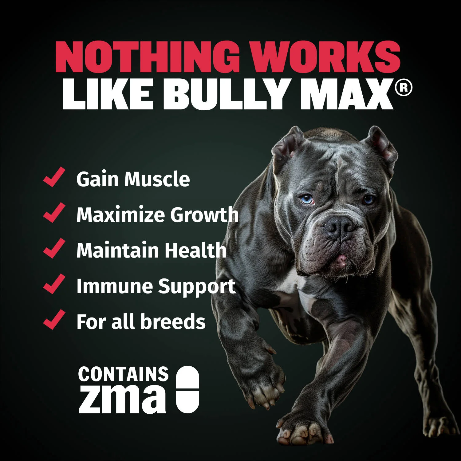 Bully Max Dog Food (40 lbs.) & Muscle Building Tablets Bundle - Image 7