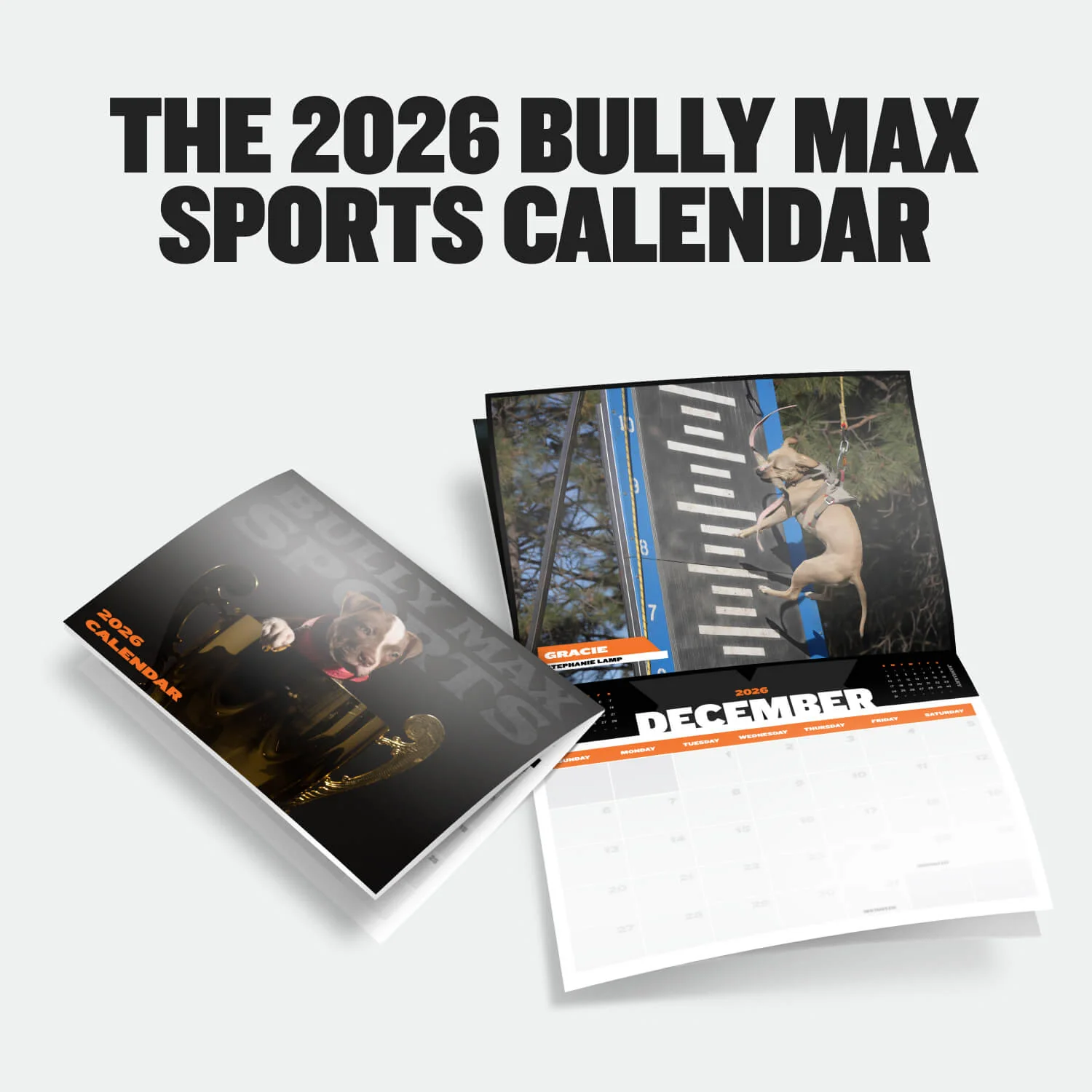2026 Limited Edition Calendar - Image 3