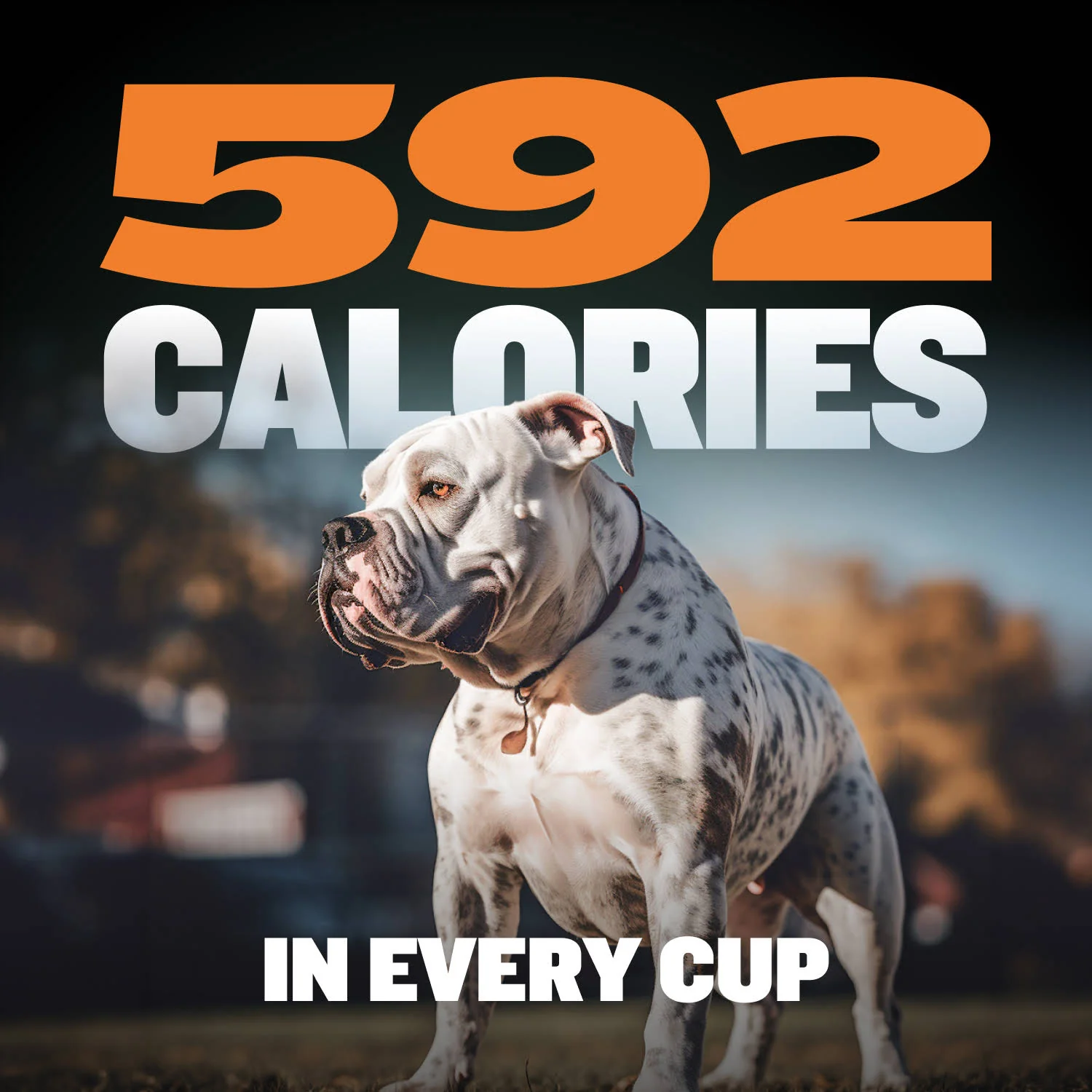 Bully Max 26/12 High Protein Wet Dog Food 10 Count Multipack - Image 4