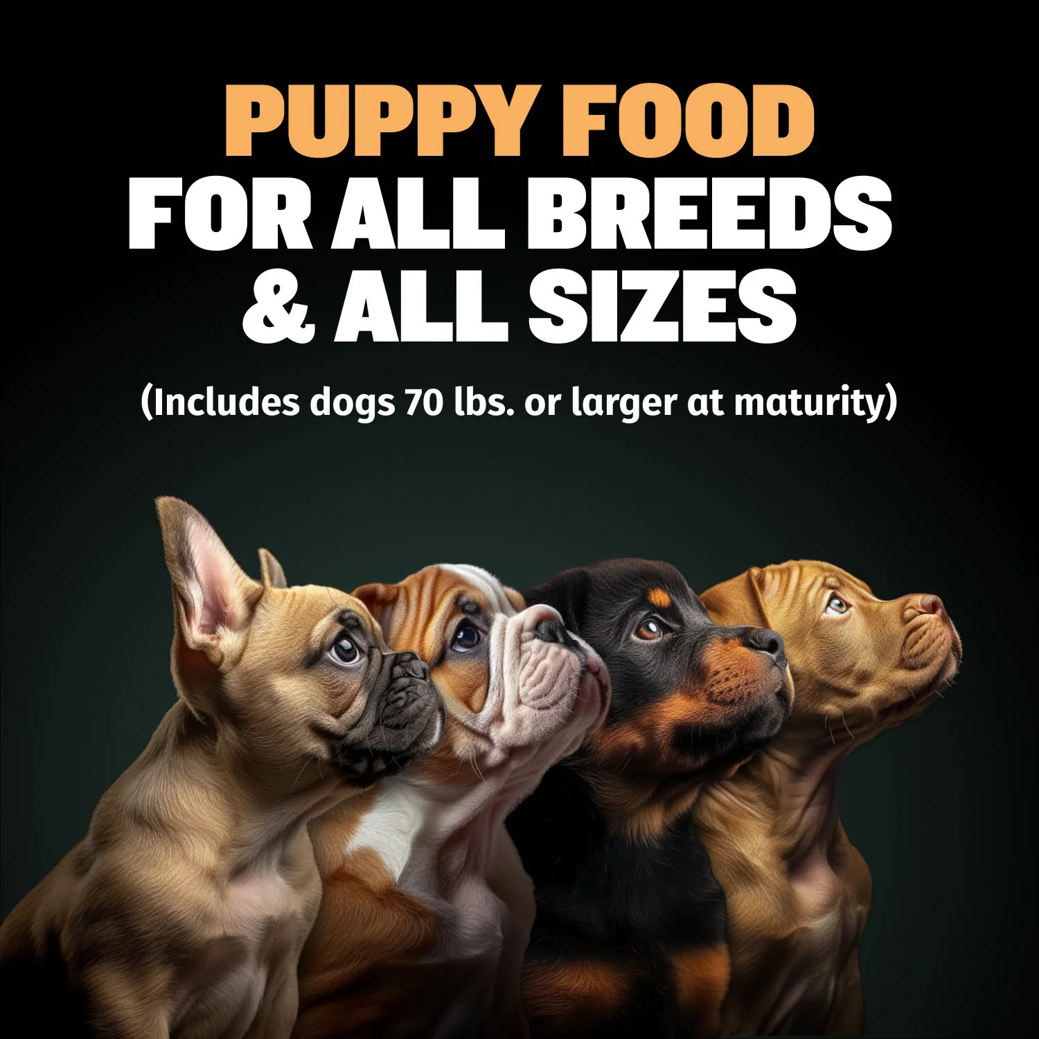 Bully Max 26/12 High Protein Chicken Wet Puppy Food - Image 3