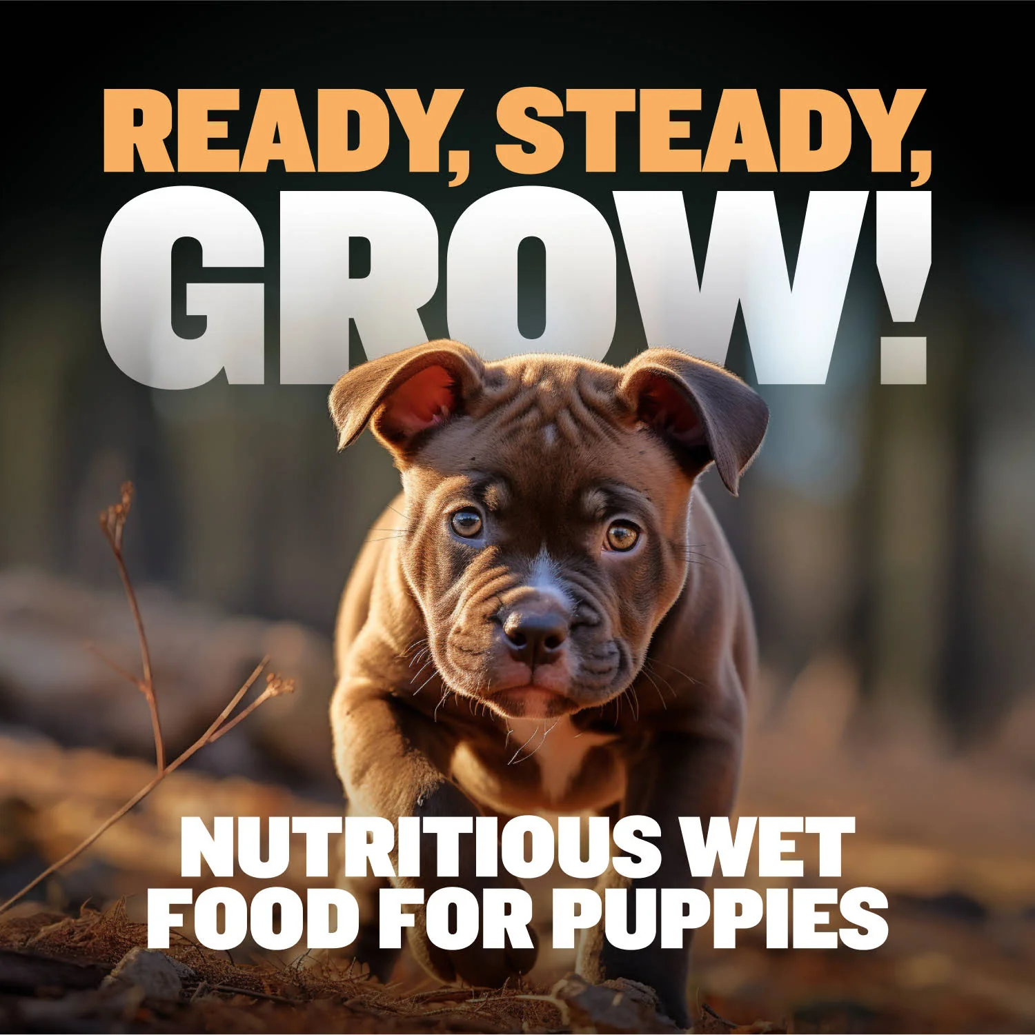 Bully Max 26/12 High Protein Wet Puppy Food 10 Count Multipack - Image 4