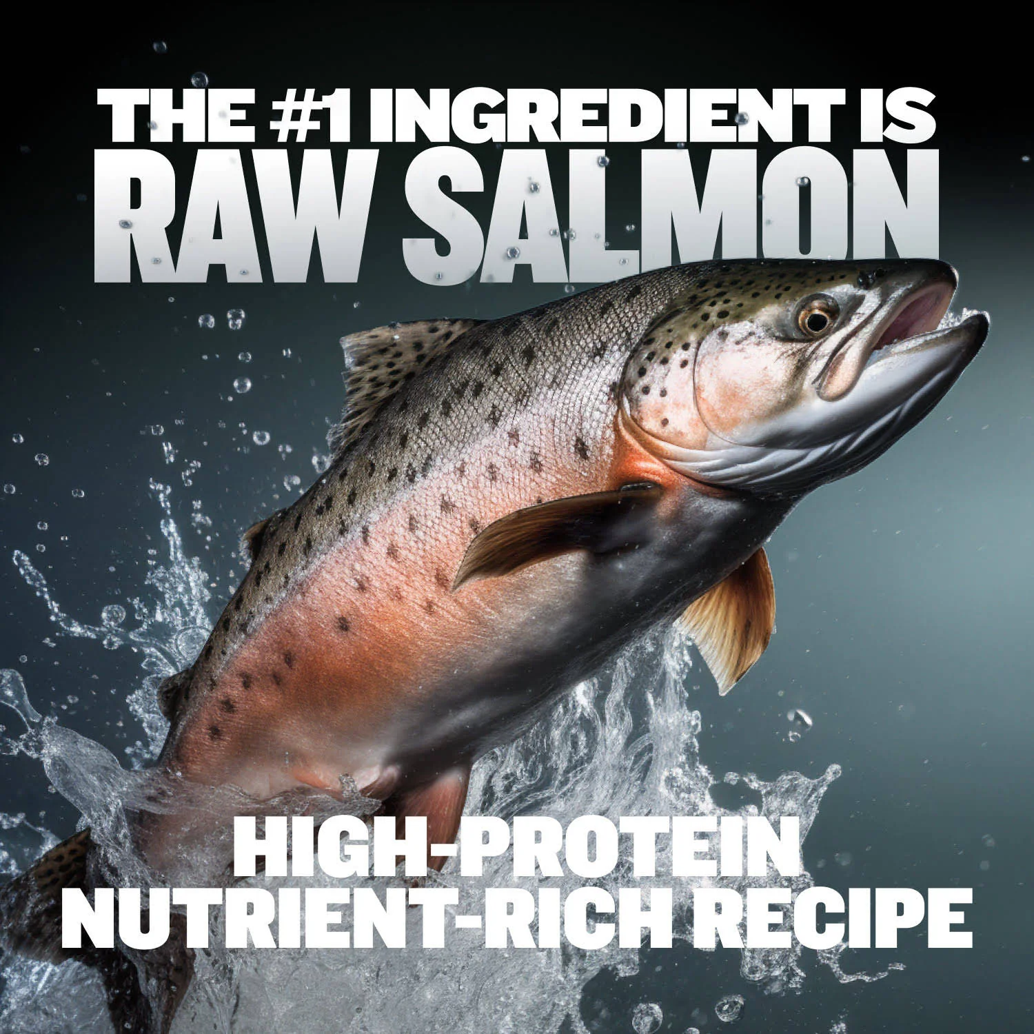 Bully Max Freeze-Dried Raw Dog Food Toppers Salmon Flavor - Image 3