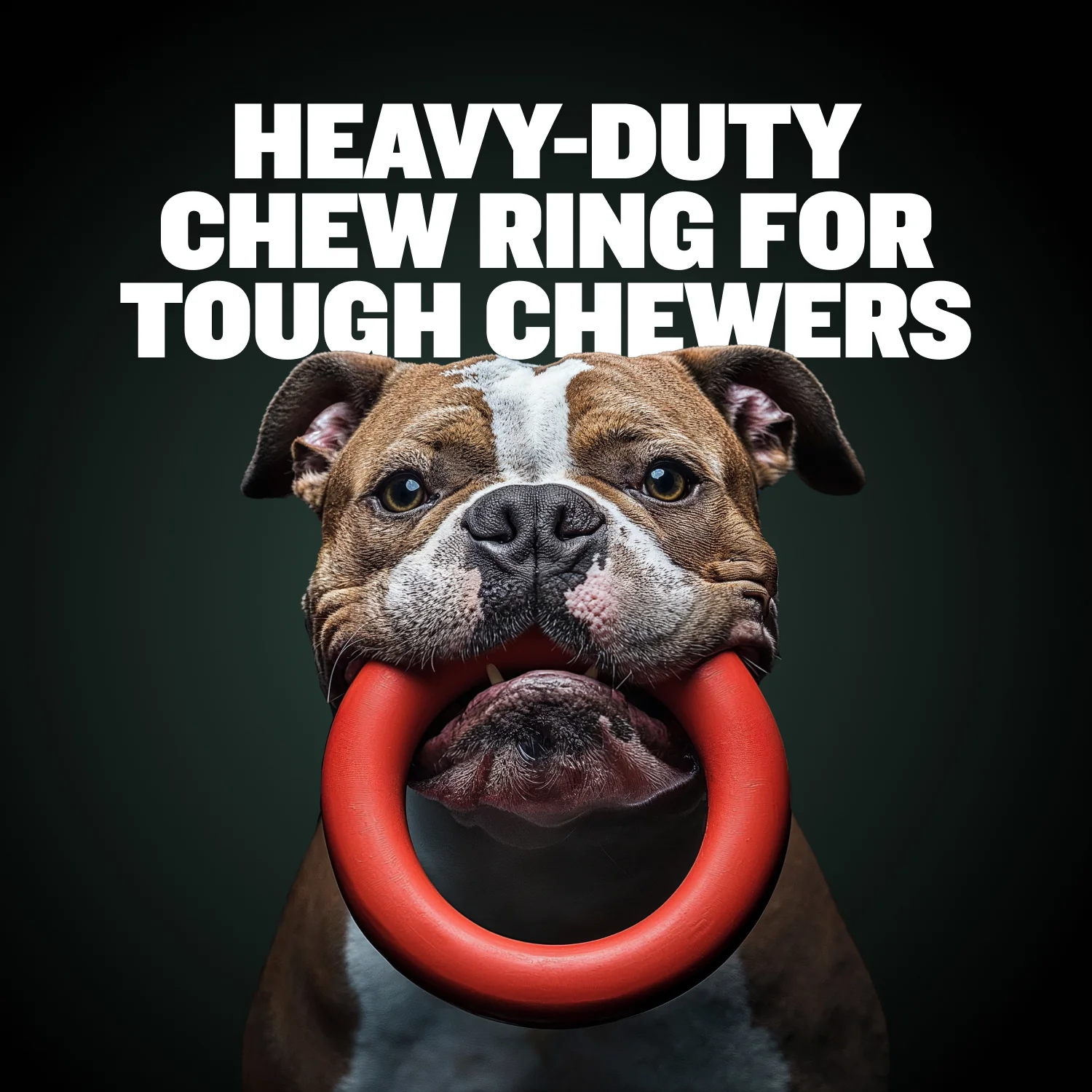 Heavy Duty Tough Chew Ring Toys - Image 3