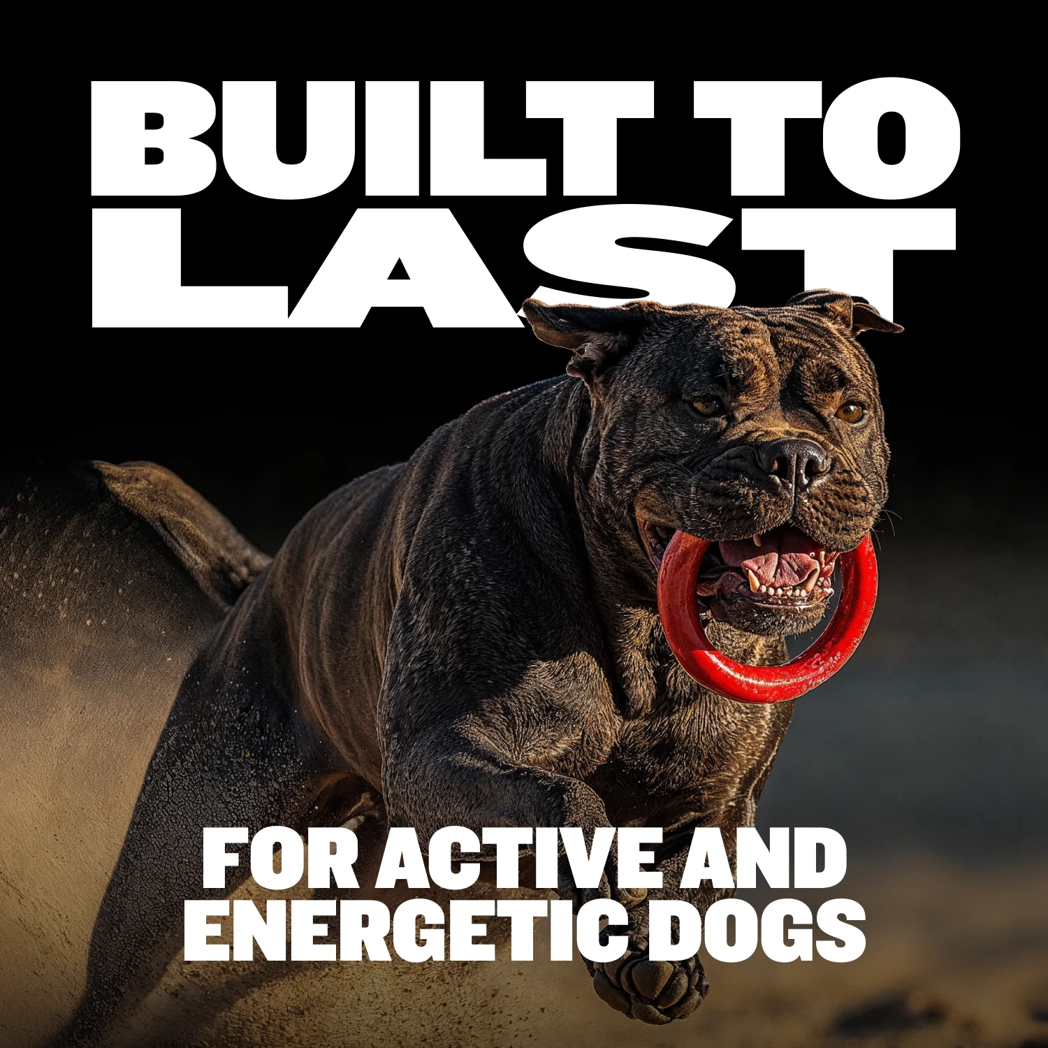 Heavy Duty Tough Chew Ring Toys - Image 7