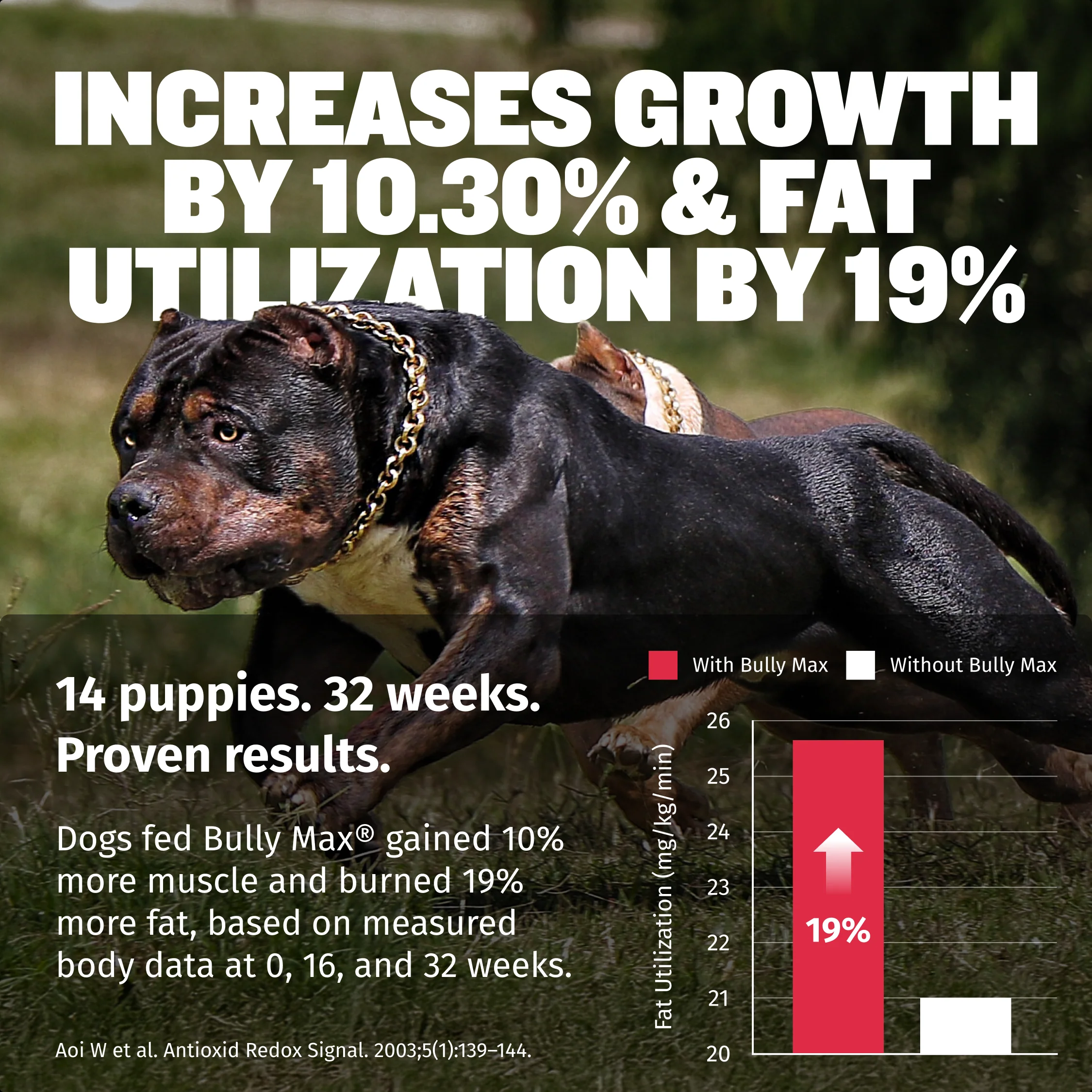 Bully Max Liquid Muscle Gain Supplement - Image 7