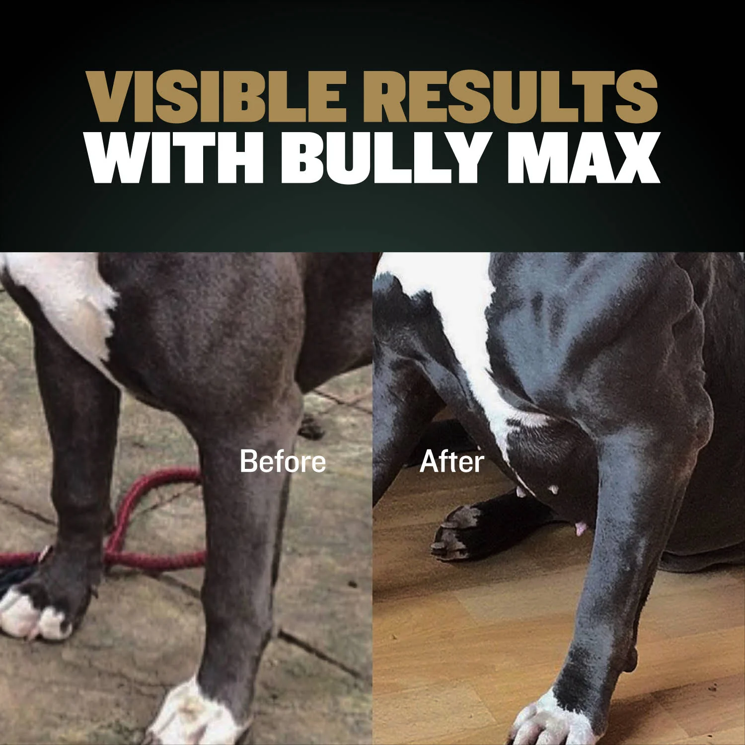 Bully Max Pro Series Power Chews for Muscle Gain - Image 4