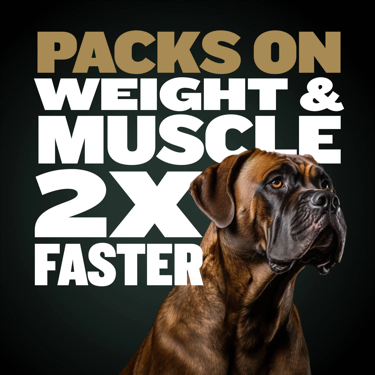 Bully Max Pro Series Power Chews for Muscle Gain - Image 7