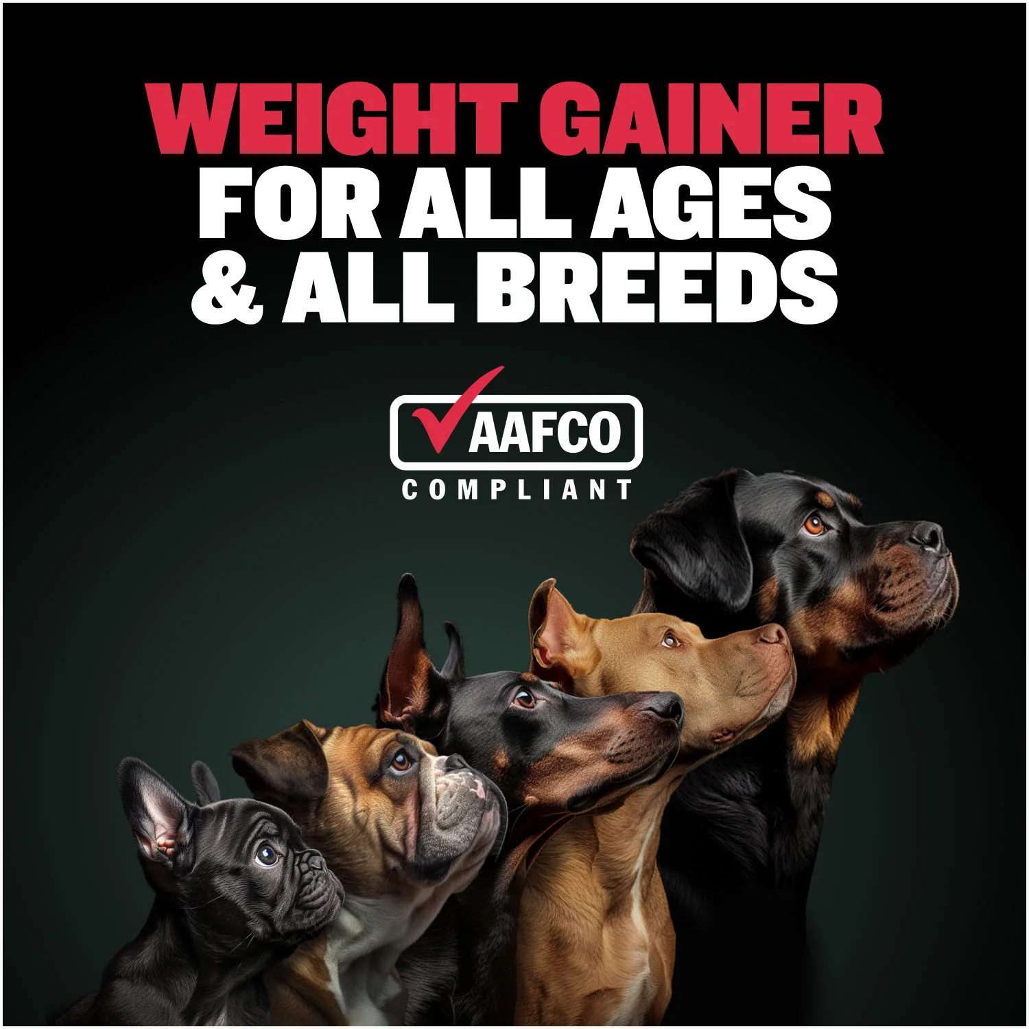 Bully Max Power Chews for Weight Gain - Image 6