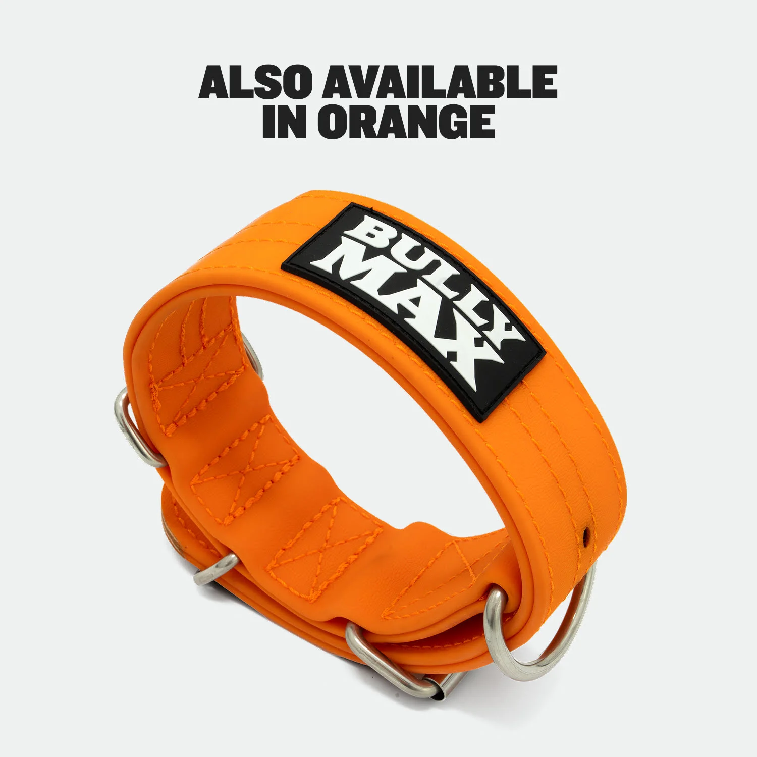 Extra Heavy Duty Dog Collar (Black) - Image 9