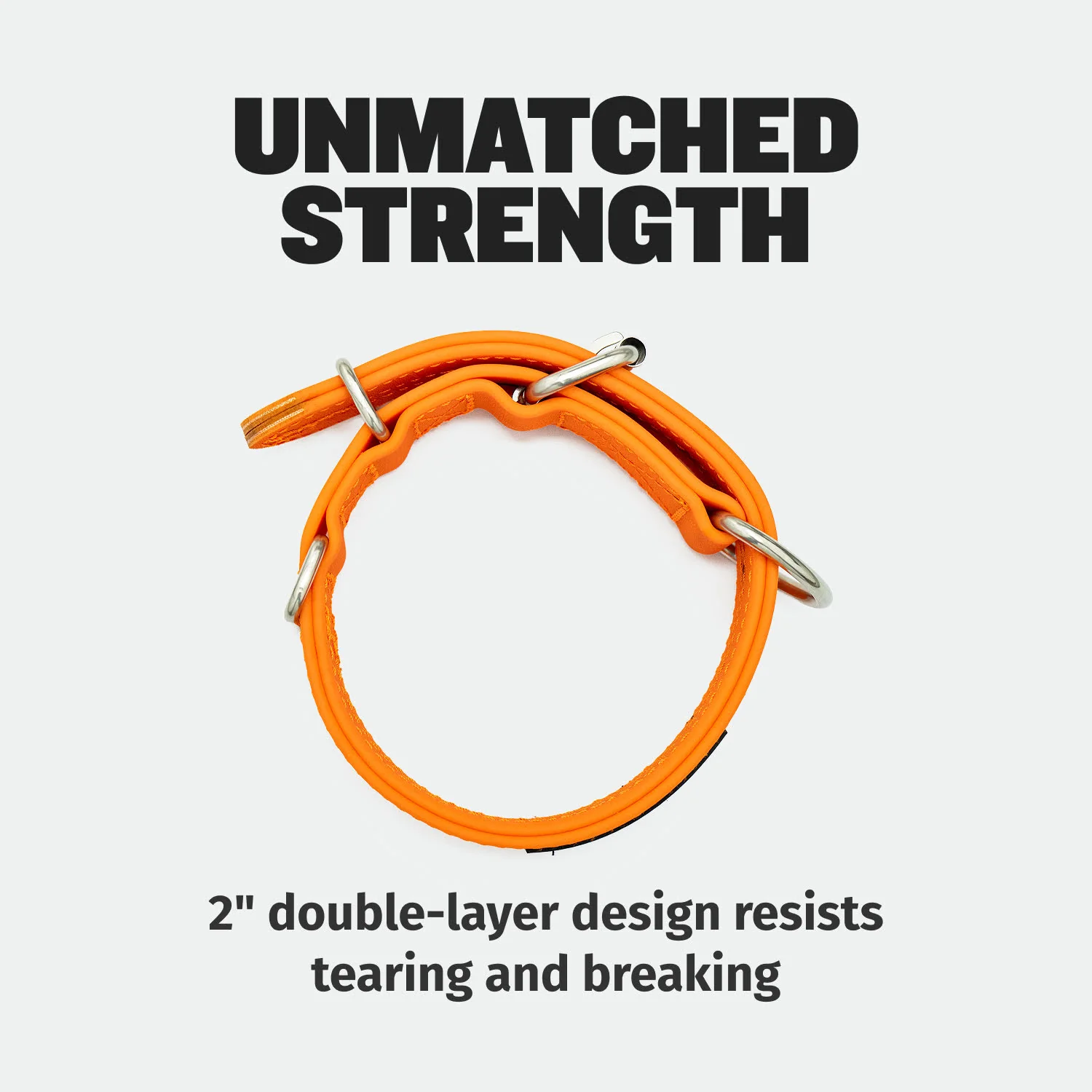Extra Heavy Duty Dog Collar (Orange) - Image 7