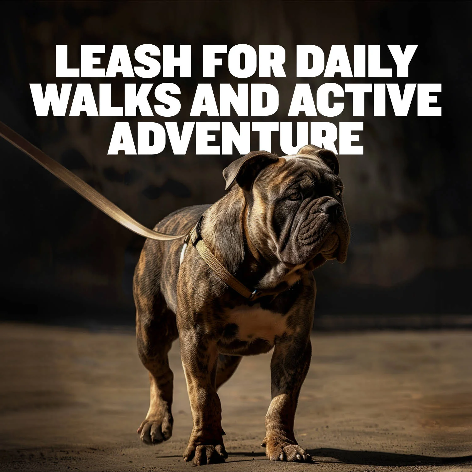 Tactical Dog Leash - Image 2