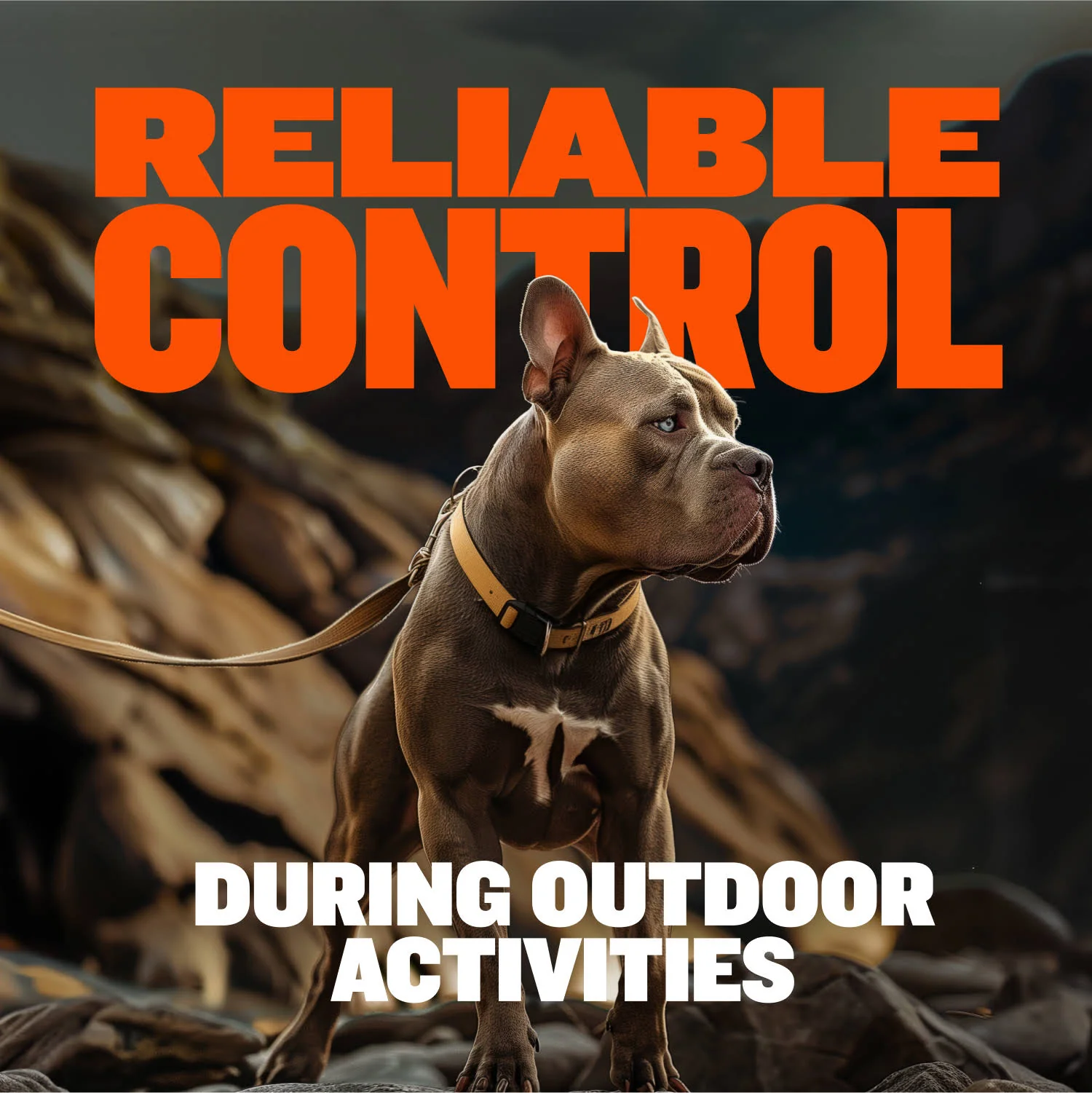Tactical Dog Leash - Image 5