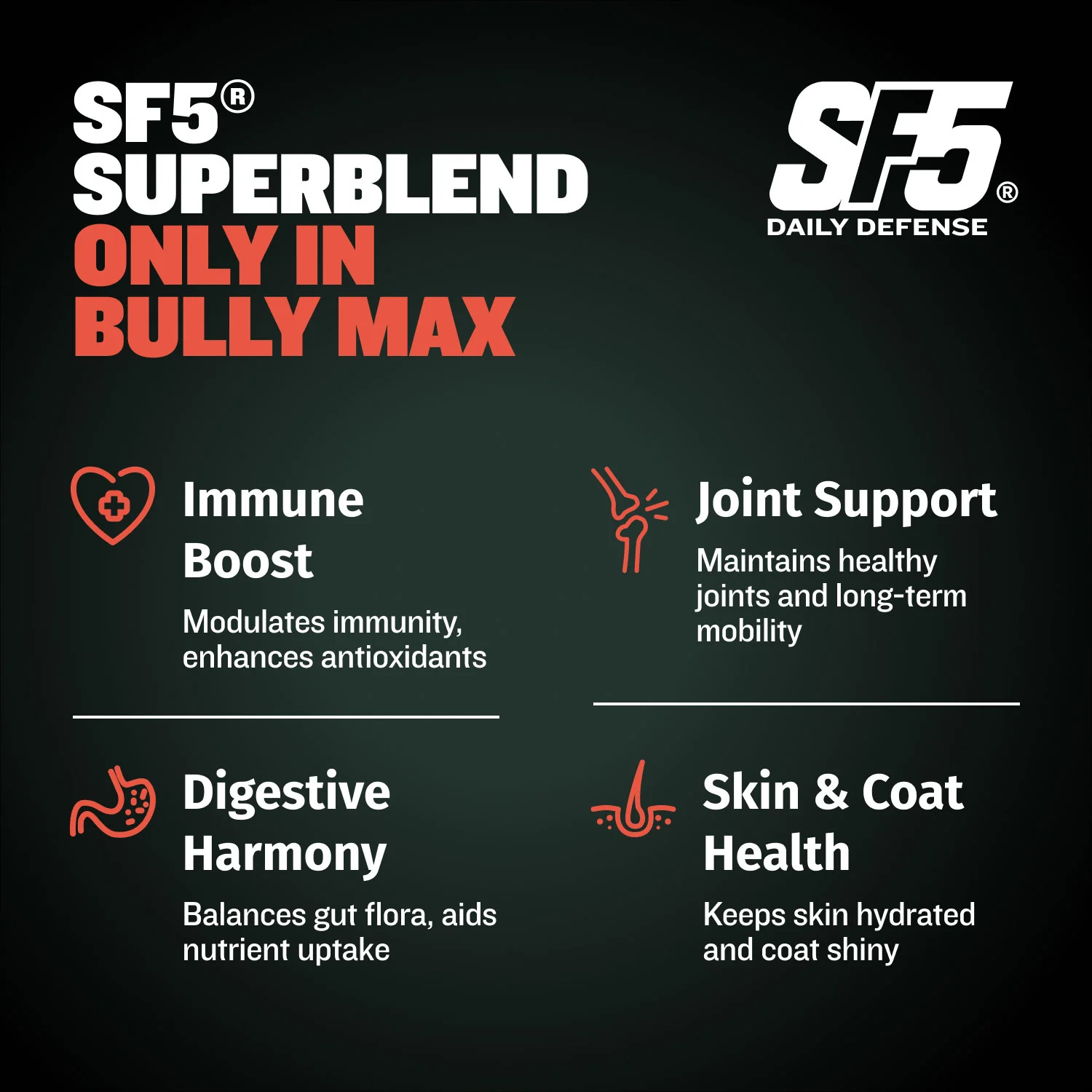 Bully Max 30/20 High Protein Beef Dog Food - Image 3