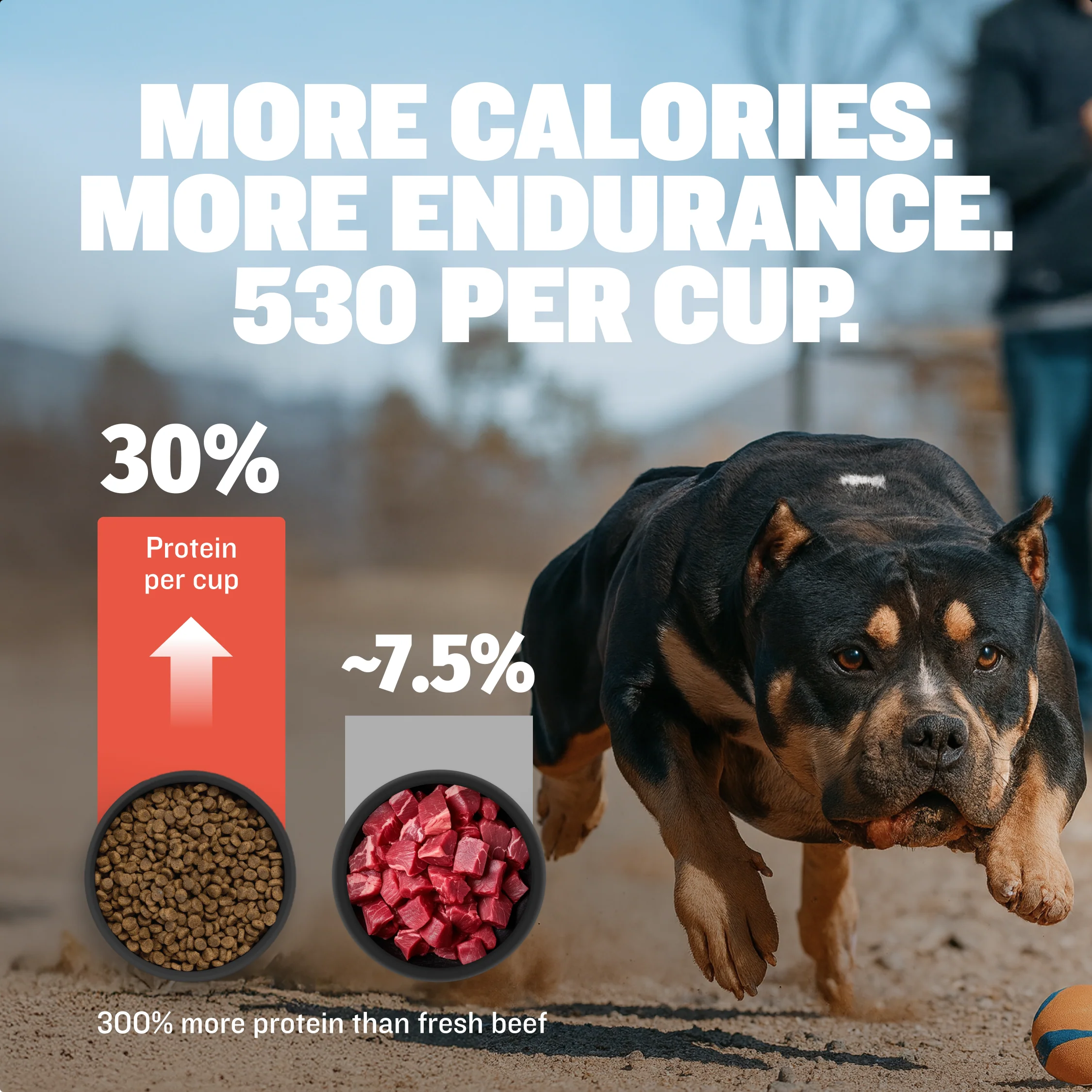 Bully Max 30/20 High Protein Beef Dog Food - Image 4