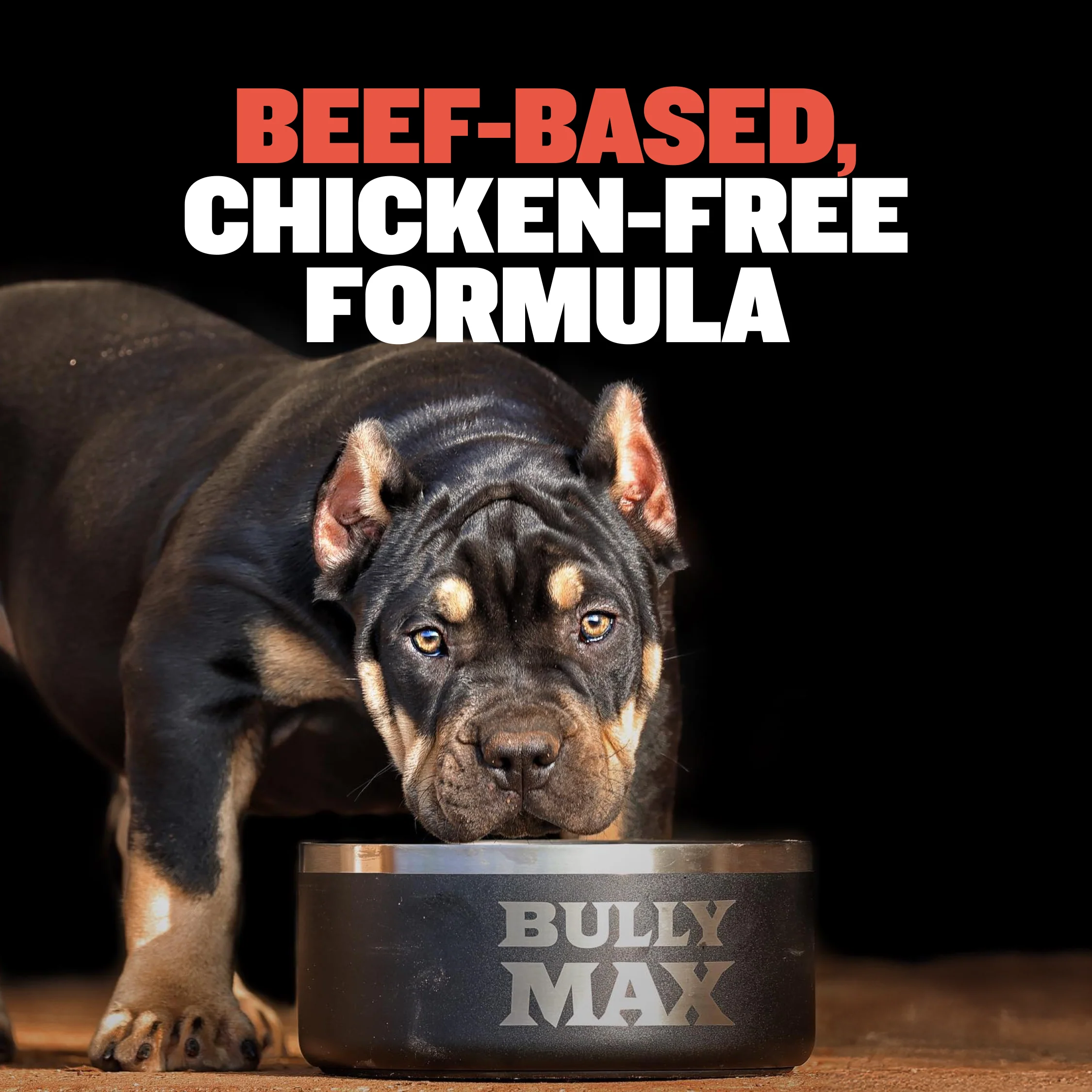 Bully Max 30/20 High Protein Beef Dog Food - Image 7