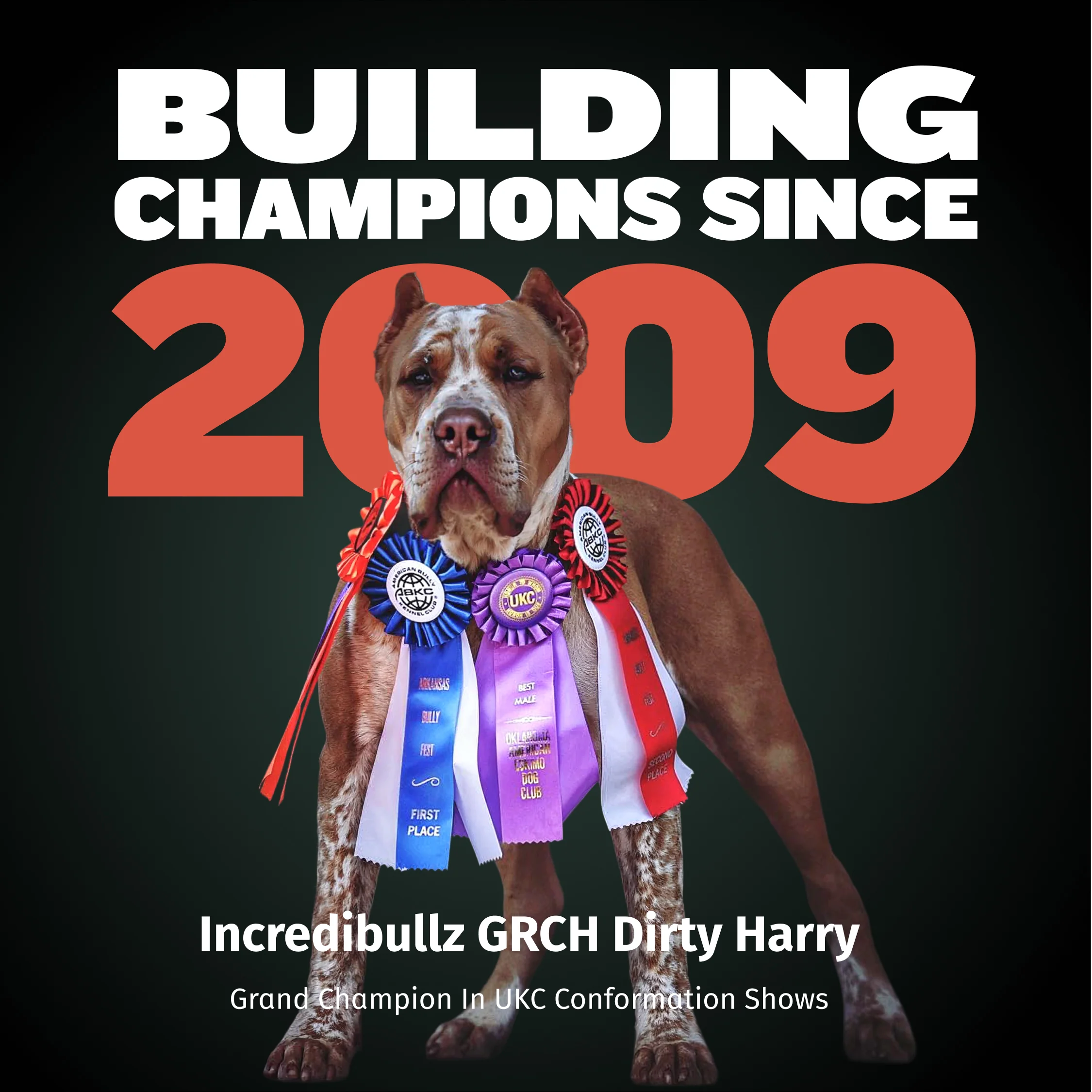 Bully Max 30/20 High Protein Beef Dog Food - Image 9