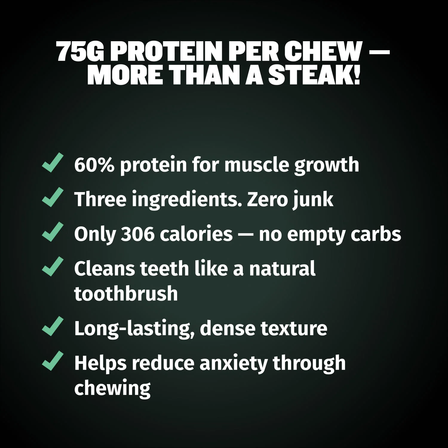 High Protein Power Chew - Mint - Image 5
