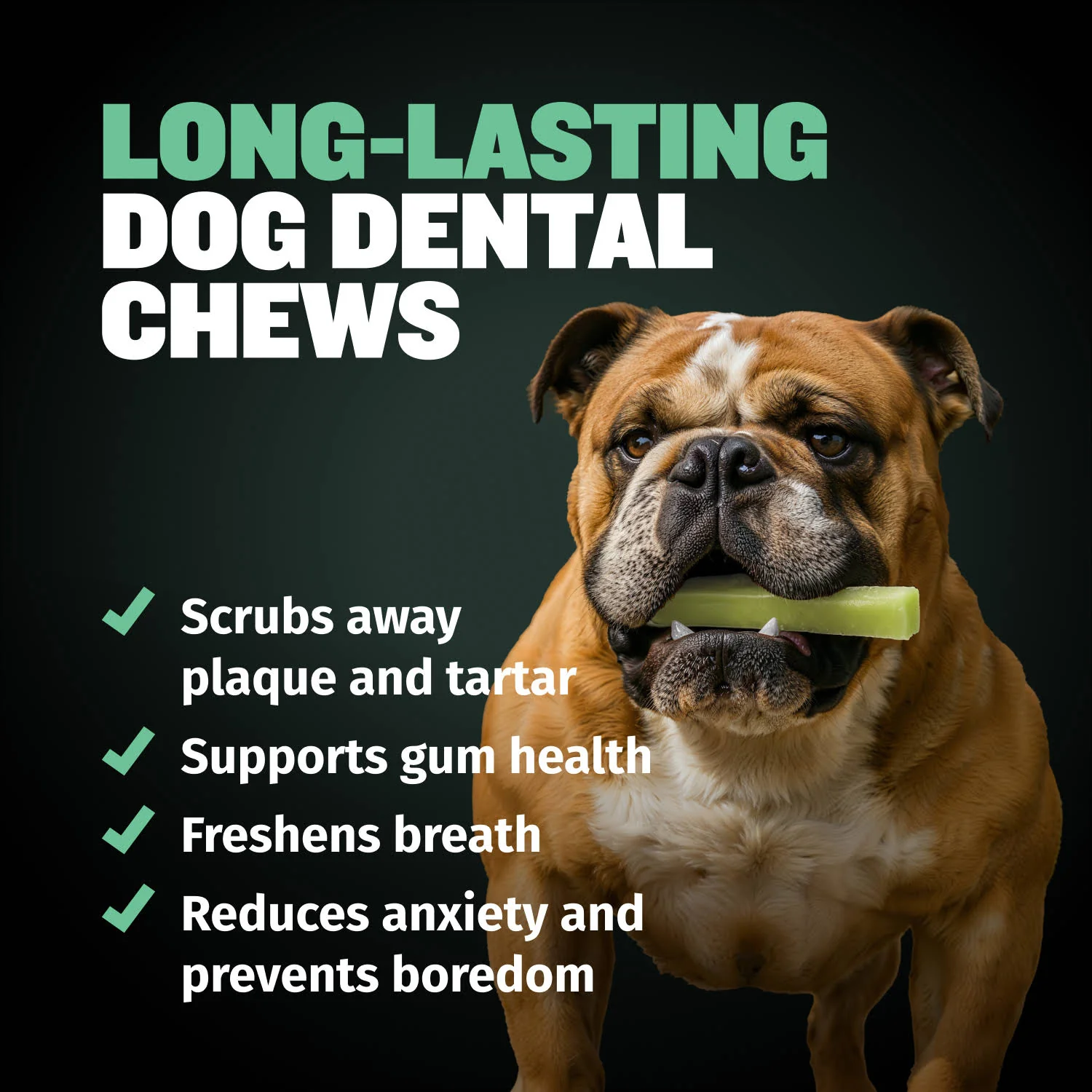 High Protein Power Chew - Mint - Image 7