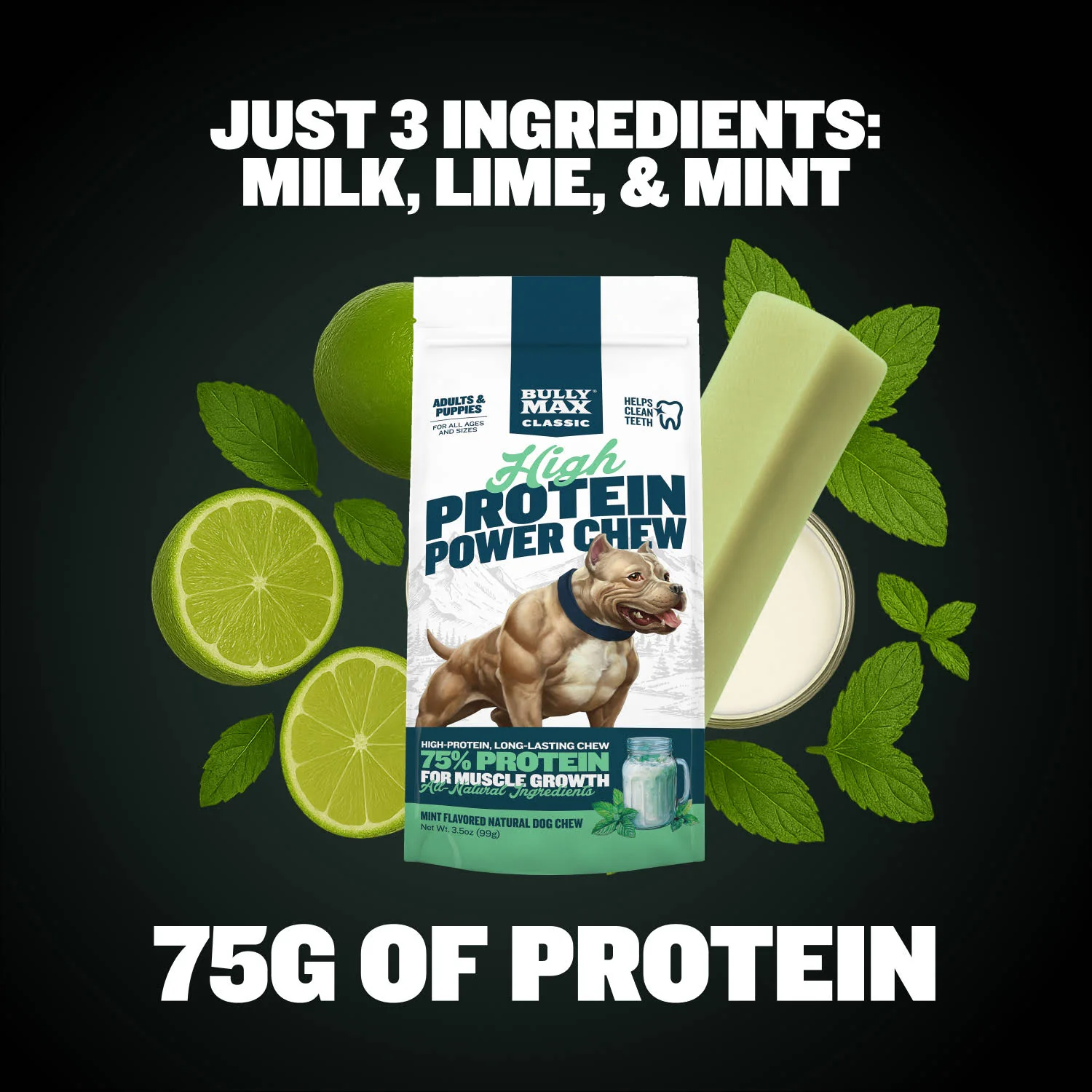 High Protein Power Chew - Mint - Image 8