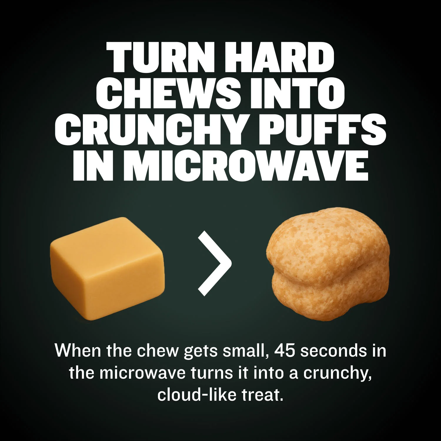 High Protein Power Chew - Pumpkin - Image 9