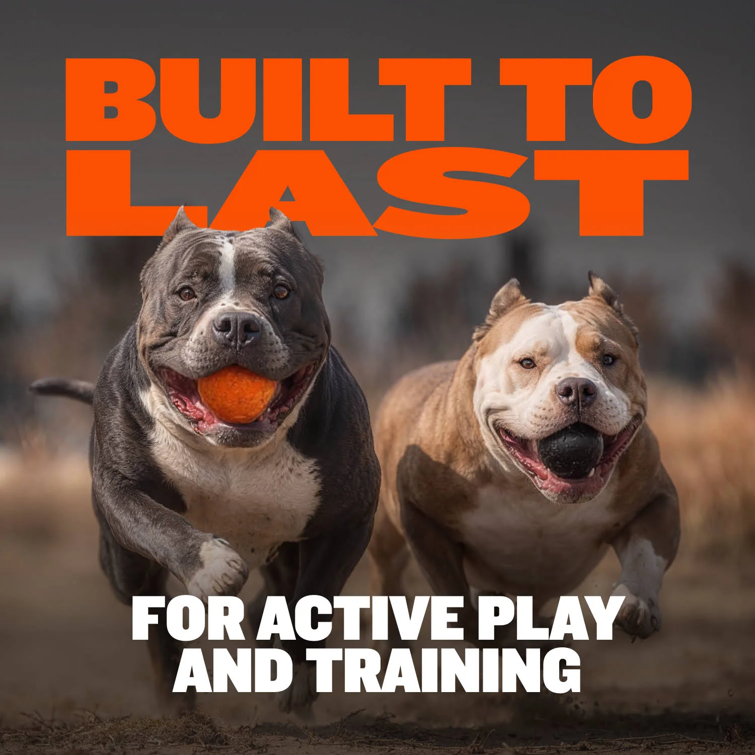 Tough & Long-Lasting Dog Balls for Power Chewers - Image 6