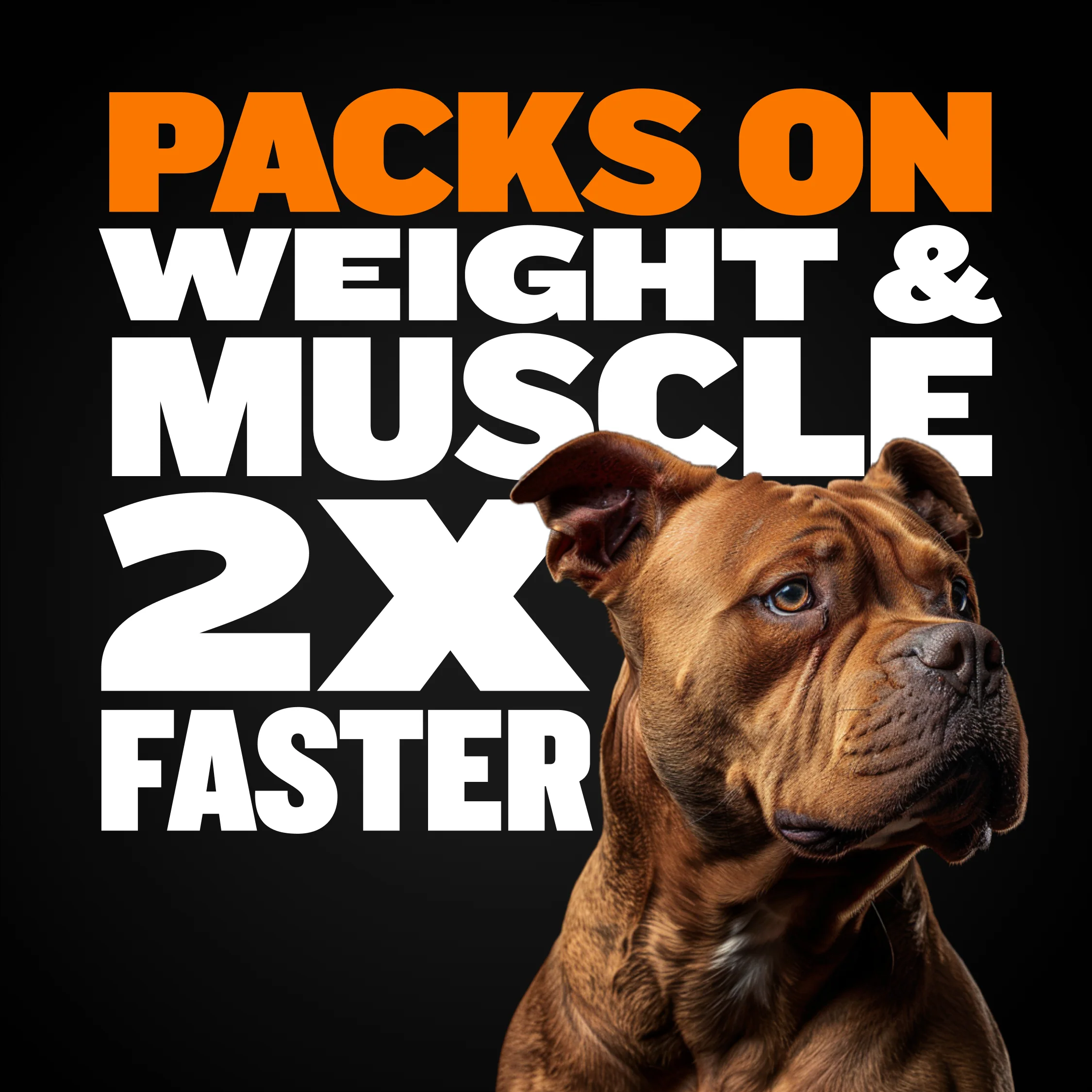 Bully Max Dog Food & Muscle Gain Tablet Bundle - Image 6