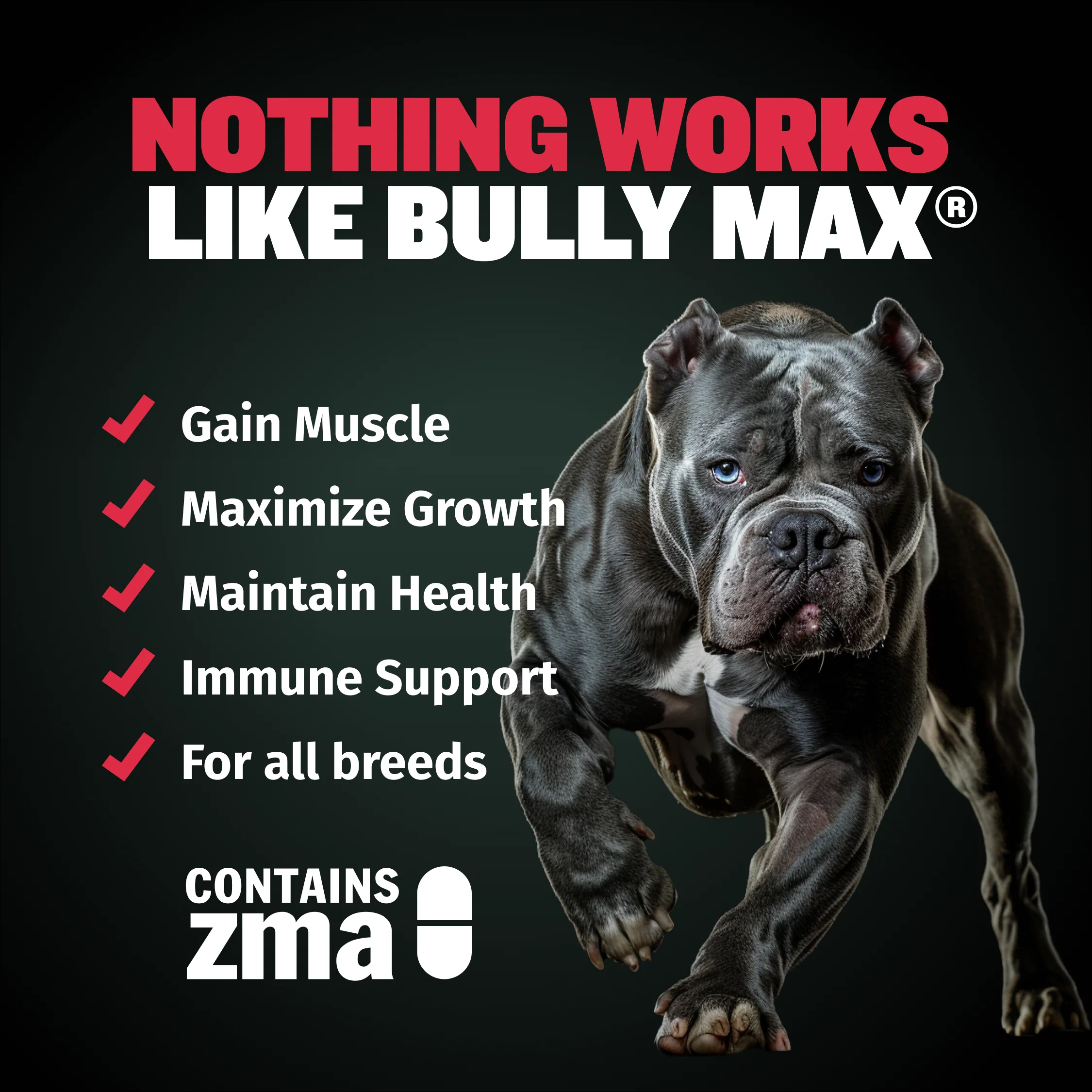 Bully Max Dog Food & Muscle Gain Tablet Bundle - Image 8