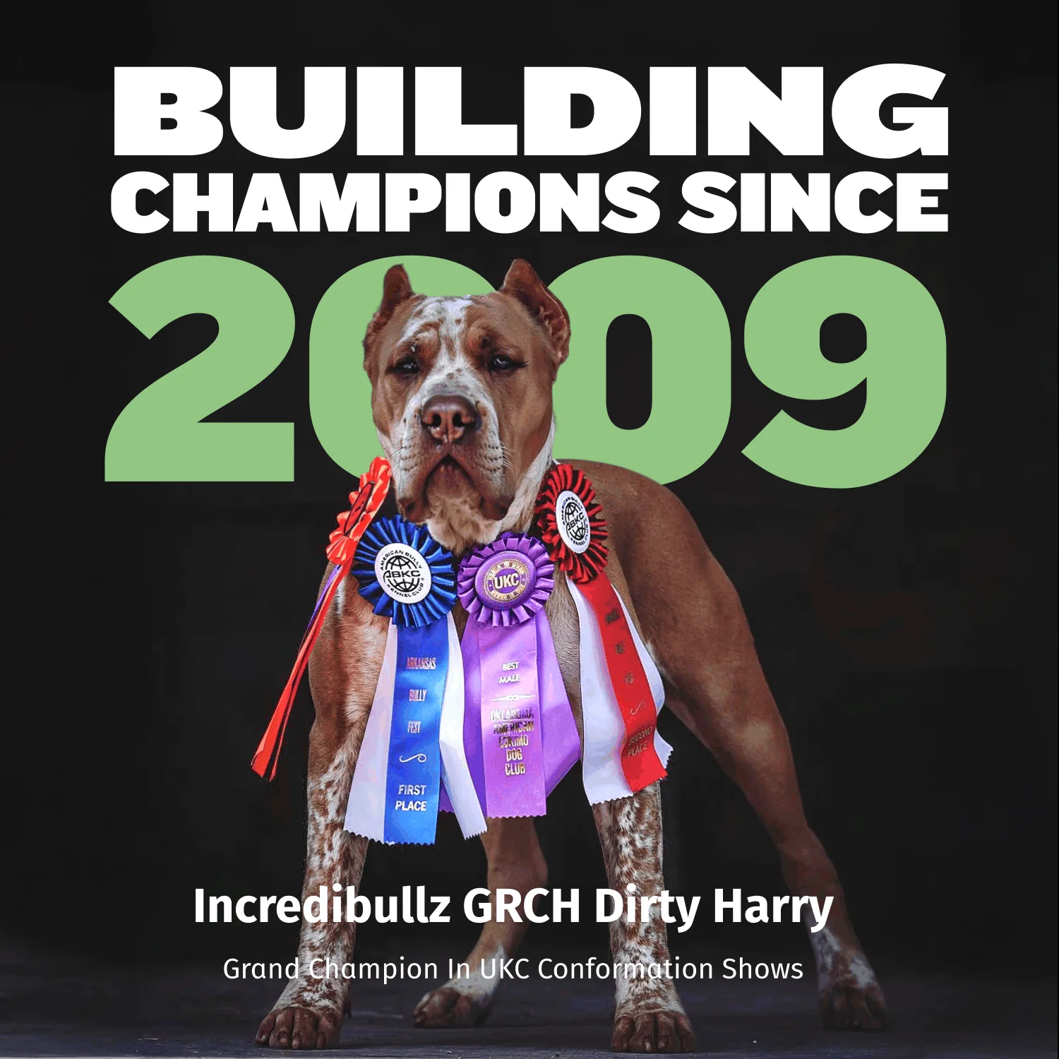 Bully Max 24/14 High Protein & Growth Puppy Food - Image 9