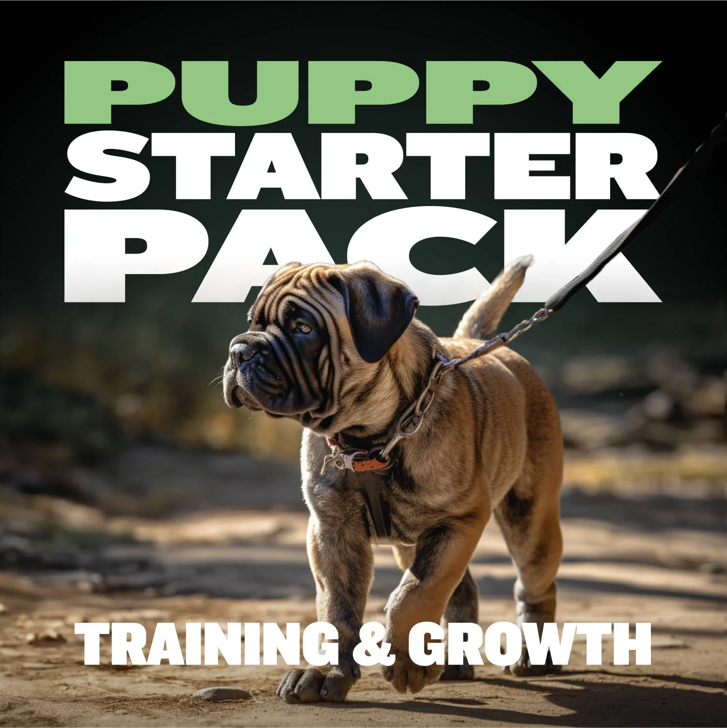 Puppy Starter Pack for Training & Growth - Image 4