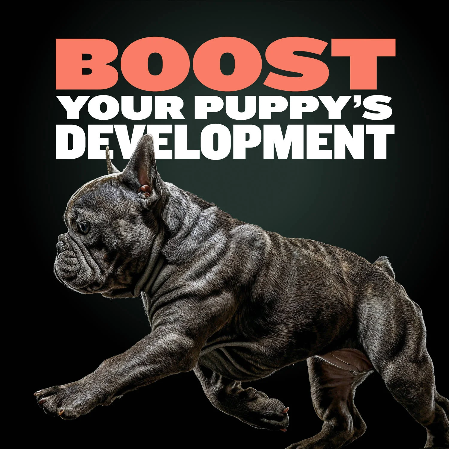 Bully Max Puppy Training Treats - Image 3