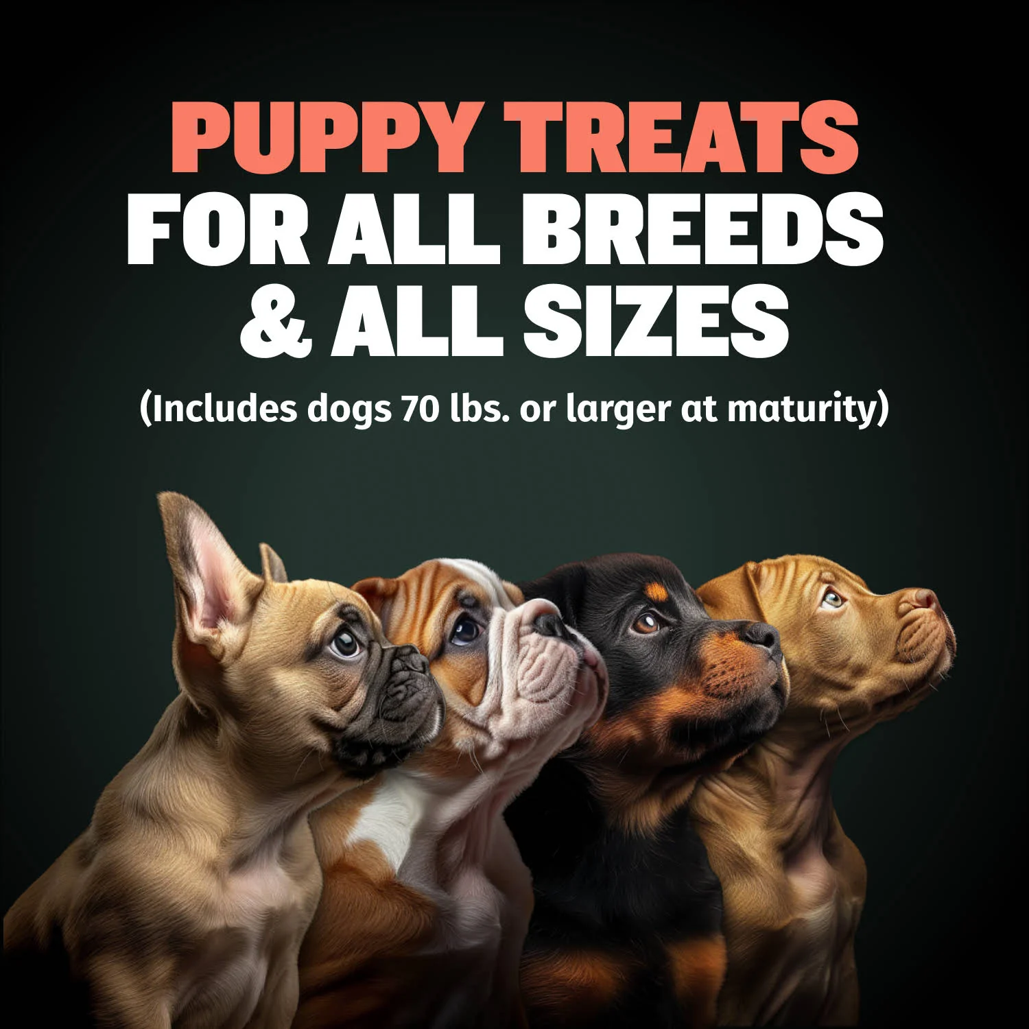 Bully Max Puppy Training Treats - Image 9