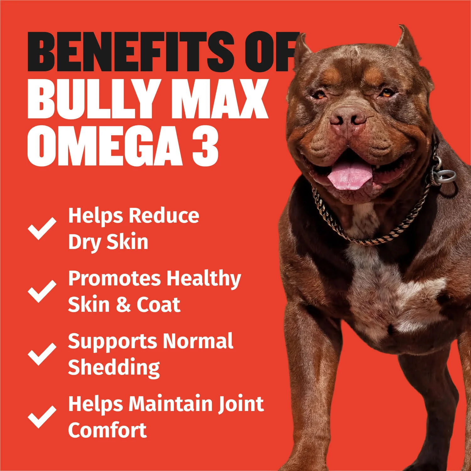 Bully Max Omega-3 Salmon Oil - Image 5