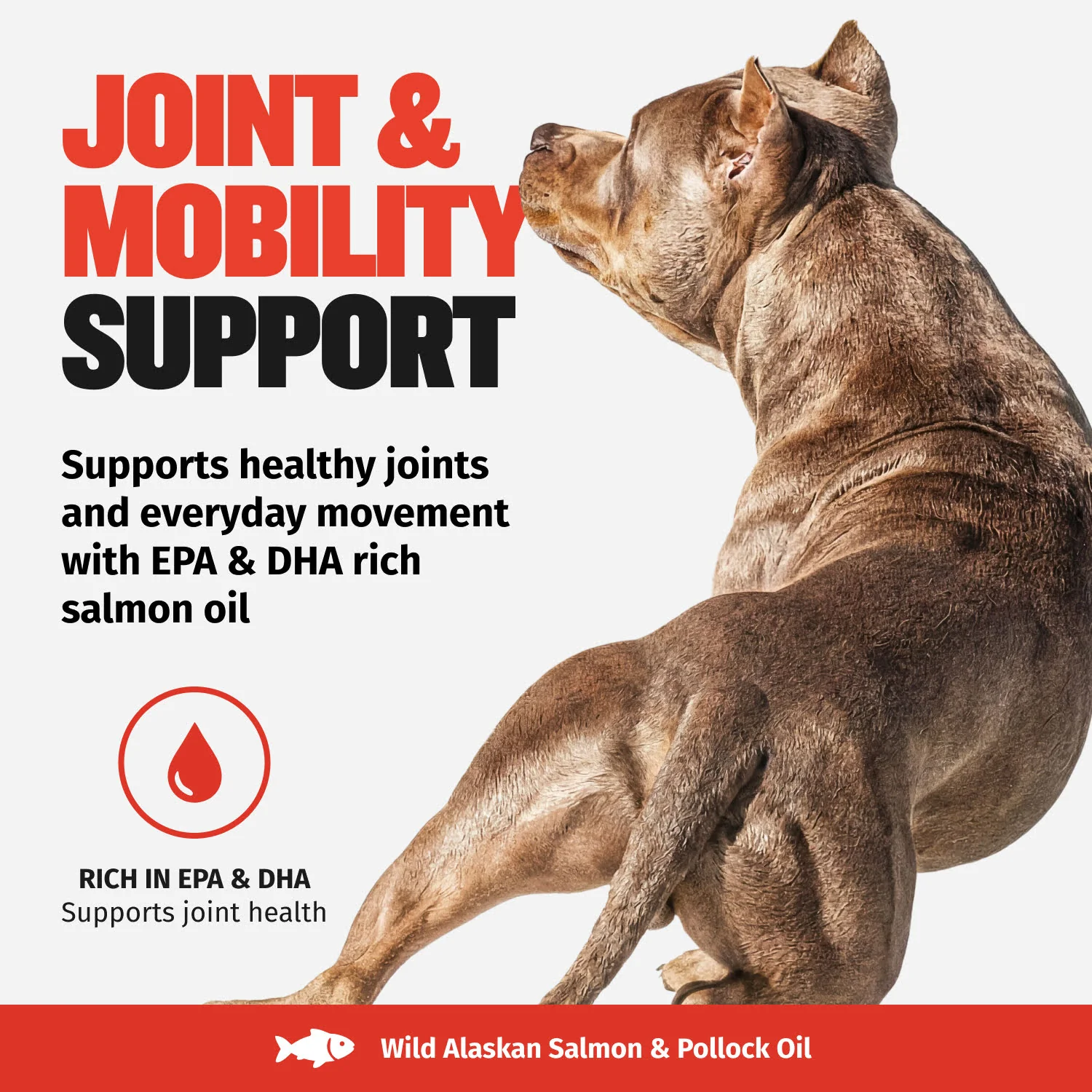 Bully Max Omega-3 Salmon Oil - Image 7