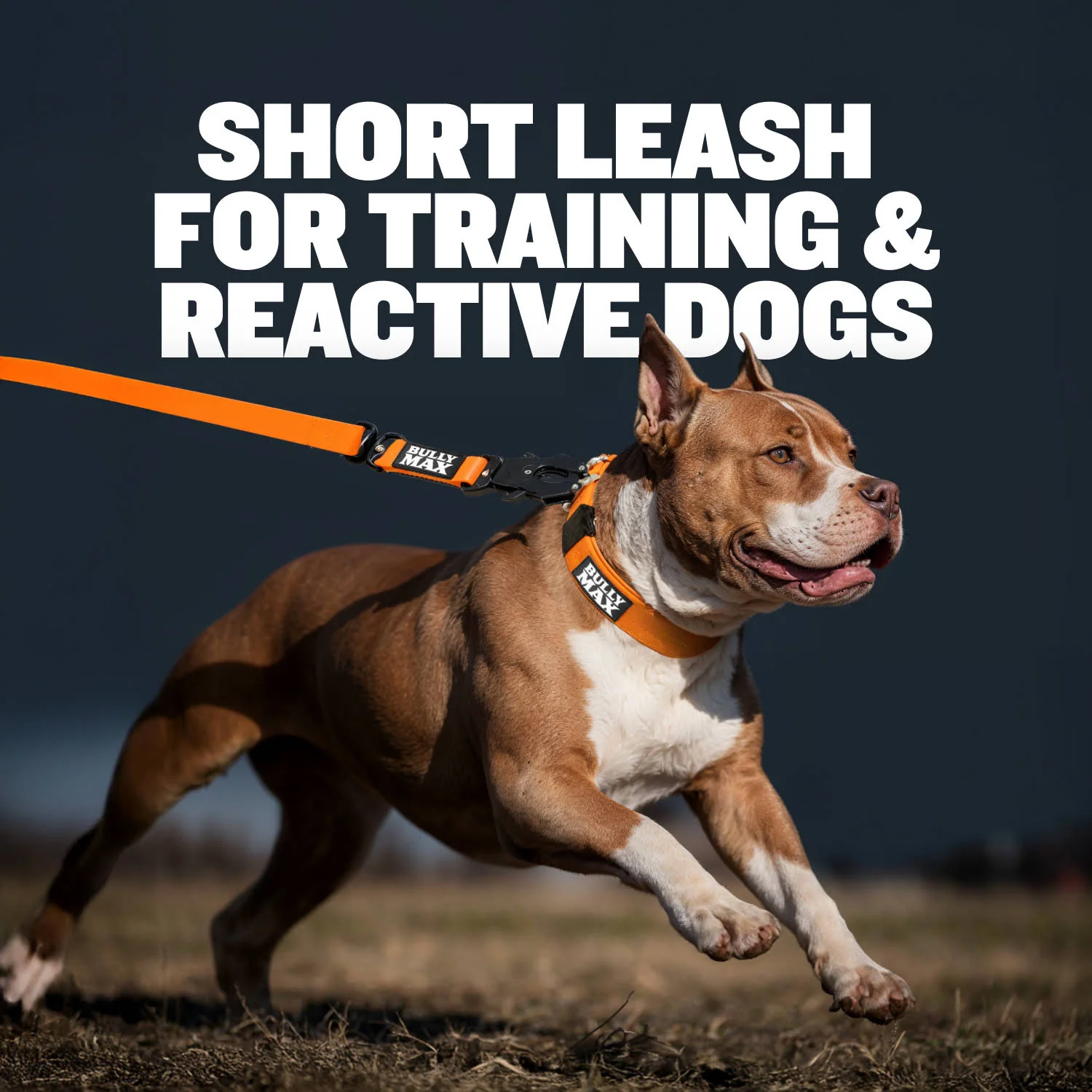 Waterproof Short Dog Leash (Orange) - Image 2