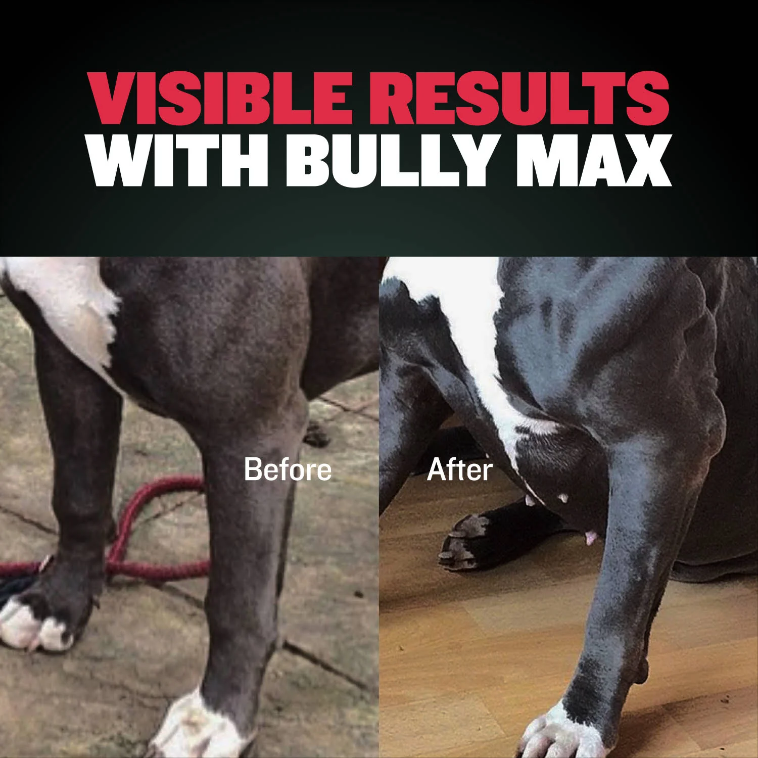 Bully Max Power Tabs for Muscle Gain - Image 8